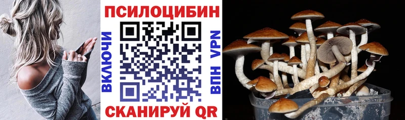 blacksprut ONION  Порхов  Псилоцибиновые грибы мухоморы 