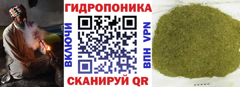 Бошки Шишки конопля Порхов